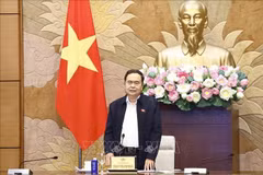 Le président de l'AN Trân Thanh Mân. Photo: VNA