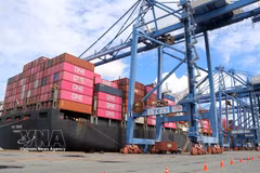 Le système logistique portuaire offre des opportunités importantes pour renforcer la coopération bilatérale entre l’Italie et le Vietnam. Photo: VNA