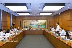 La délégation des députés de Hanoï participe aux discussions en groupe. Photo: VNA