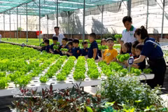 Visite d’un modèle de culture maraîchère de haute technologie à la coopérative agricole Tuan Ngoc, à Hô Chi Minh-Ville. Photo : VNA