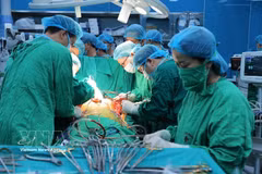 Une opération de transplantation pulmonaire à l'Hôpital national du poumon. Photo : VNA