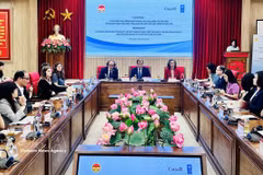 Panorama du séminaire. Photo: VNA