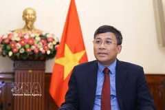 Le vice-ministre permanent des Affaires étrangères, Nguyen Minh Vu. Photo : VNA