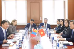 La délégation vietnamienne s'entretient avec celle de la Cour suprême de Mongolie. Photo: VNA