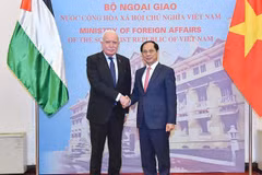 Le vice-Premier ministre Bui Thanh Son (droite) reçoit l'envoyé spécial du président palestinien Riad Malki. Photo: VNA