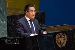 Nguyen Hai Luu, ministre-conseiller et chef adjoint de la Mission permanente du Vietnam auprès de l’ONU, s'exprime. Photo: VNA