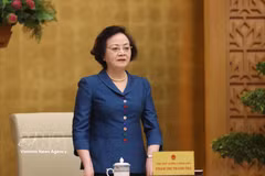 La vice-Première ministre Pham Thi Thanh Tra s'exprime. Photo: VNA
