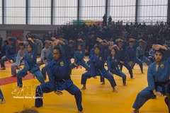 La 7ᵉ édition du Championnat du monde de Vovinam - Viet Vo Dao, organisée du 22 au 25 juillet à Paris. Photo : VNA