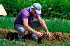 Les touristes internationaux se joignent à découvrir la sensation d'être un agriculteur dans le village maraîcher de Tra Que. (Photo : Mai Mai/Vietnam+)
