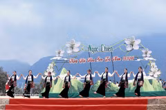 Des spectacles culturels et artistiques animés sont présentés lors de la fête des fleurs de Son tra dans la commune de Ngoc Chien. (Photo : VNA)