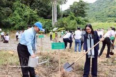 Des dirigeants de l'Union des organisations d'amitié de Hô Chi Minh-Ville plantent des arbres dans le « Jardin de l'Amitié » de la zone économique spéciale de Con Dao. Photo : VNA