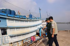 Des responsables du port de pêche, des gardes-frontières et des représentants du gouvernement local du quartier de Phuoc Thang inspectent des bateaux de pêche ancrés dans le port de Cat Lo. Photo : VNA.