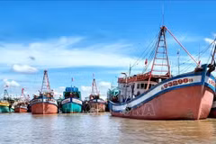 Bateaux de pêche ancrés au port de Ganh Hao (province de Ca Mau). Photo : VNA