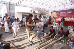 Le Comité de liaison de la communauté vietnamienne de Singapour organise chaque année la Fête de la mi-automne afin de renforcer les liens communautaires et de diffuser la culture vietnamienne. Photo : VNA
