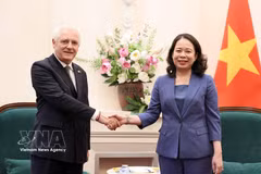 La vice-présidente de la République, Vo Thi Anh Xuan, reçoit l'ambassadeur d'Argentine au Vietnam, Marcos Antonio Bednarski, Photo : VNA