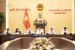 Le président de l'Assemblée nationale, Tran Thanh Man (au milieu), lors de la réunion. Photo : quochoi.vn