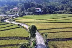 Route en béton desservant les zones de production agricole dans la commune de Thái Bình, province de Tuyen Quang. Photo: VNA