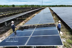 Nettoyage des panneaux solaires à la centrale solaire de Gio Thành, province de Quang Tri. Photo: VNA