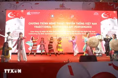 Un spectacle lors du programme des arts traditionnels vietnamiens à Singapour. (Photo : VNA)