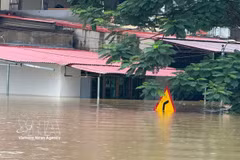 Dans la commune de Kim Tan, province de Thanh Hoa, le premier étage de maisons à deux ou trois niveaux est déjà submergé à plus de la moitié. Photo: VNA