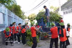 Des étudiants bénévoles malaisiens ramassent des branches d'arbres et participent à une opération de nettoyage de l'environnement dans le quartier de Trung My Tay. Photo : VNA