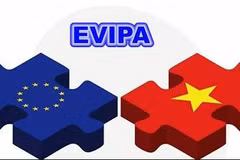  EVIPA : Berlin franchit une nouvelle étape vers la ratification