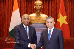 Le secrétaire général du Parti communiste du Vietnam et président de la République, To Lam (droite) reçoit le président de l’Assemblée nationale de Côte d’Ivoire, Patrick Achi. Photo: VNA