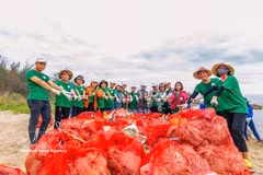 Collecte de déchets plastiques à l’embouchure de Sa Can, province de Quang Ngai. Photo: VNA