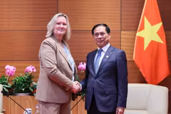 Le vice-PM Bui Thanh Son reçoit la secrétaire d'État danoise des Affaires étrangères. Photo: VNA