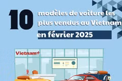 Dix modèles de voitures les plus vendus au Vietnam en février 2025