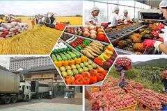 Le Vietnam a exporté pour 28,04 milliards de dollars de produits agricoles, sylvicoles et aquatiques au cours des cinq premiers mois de 2025. Photo : congthuong.vn