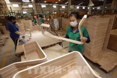 La transparence de l'origine du bois constitue également une exigence clé pour que le Vietnam puisse obtenir la licence FLEGT. Photo: VNA