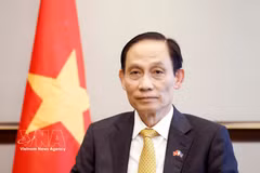 Le ministre des Affaires étrangères Le Hoai Trung. Photo: VNA