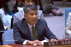 Le vice-ministre permanent vietnamien des Affaires étrangères, Nguyen Minh Vu. Photo: VNA
