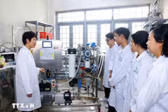 Le Parti, l’État et le Gouvernement ont intensifié leur pilotage pour engendrer des transformations substantielles dans le développement de l’être humain, l’éducation et la formation, les sciences, les technologies et l’innovation. Photo: VNA