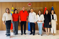 La direction du PSUV avec l'ambassadeur Vu Trung My (quatrième à partir de la droite) et des représentants de l'ambassade du Vietnam au Venezuela. Photo : VNA
