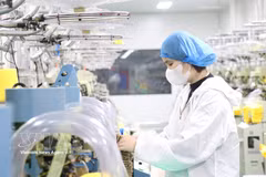 Les entreprises d'IDE espèrent que les réformes institutionnelles continueront de créer un cadre juridique plus transparent, stable et compétitif. Photo : VNA