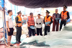 La gestion de la flotte est rigoureusement appliquée à Hai Phong : 100 % des navires sont immatriculés, titulaires d’une licence de pêche, et leurs données sont mises à jour dans la base de données nationale des pêches (Vnfishbase). Photo : VNA