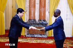Le président vietnamien Luong Cuong (gauche) reçoit les lettres de créance de l'ambassadeur de la République du Burundi, Telesphone Irambonao. Photo: VNA