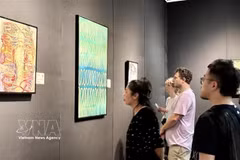 Des visiteurs à l'exposition. Photo : VNA