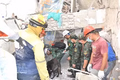 Les secouristes vietnamiens à la recherche de victimes dans les décombres. Photo: VNA 