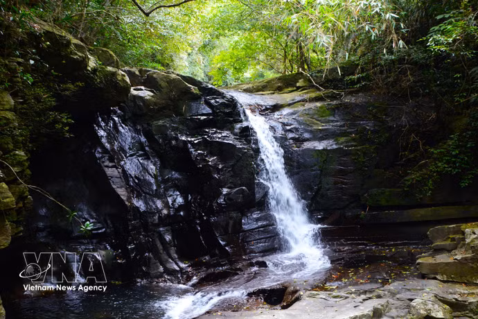 Bach Ma, entre forêts luxuriantes et cascades cristallines
