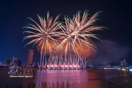 Lors du DIFF 2025, les équipes du Portugal et du Royaume-Uni ont offert des spectacles pyrotechniques éblouissants, alliant avec finesse les techniques modernes de feux d’artifice et les riches influences de la culture européenne. Photo: VNA