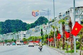 Une section de la rue Tran Quoc Nghien traverse le quartier de Ha Long. Photo : https://dangcongsan.org.vn/