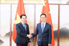Le vice-Premier ministre vietnamien Mai Van Chinh (gauche) et Han Zheng, vice-président chinois. Photo: VNA
