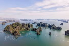 Avec sa beauté unique et incomparable, la baie d'Ha Long a été inscrite à deux reprises au patrimoine mondial par le Comité du patrimoine mondial. Photo : VNA
