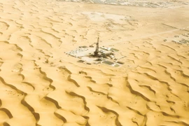 Le projet Bir Seba - Algérie est un point positif de la coopération pétrolière, gazière et énergétique entre le Vietnam et l'Algérie. Photo: petrovietnam