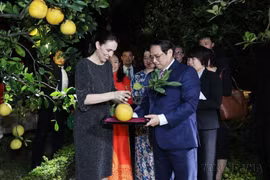 Porter les relations entre le Vietnam et la Nouvelle-Zélande à une nouvelle hauteur