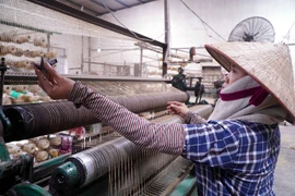 Préserver avec constance l’artisanat traditionnel du tissage de nattes en jonc à Hung Yên