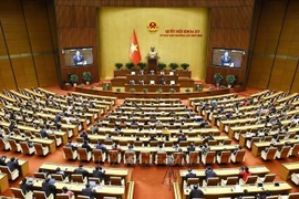 Panorama de la 9ᵉ session extraordinaire de la 15e Assemblée nationale. Photo: VNA